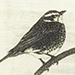 Takeshi Nakai Gallery